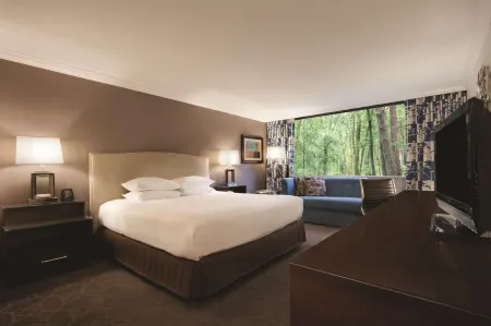 Hilton Durham Near Duke University