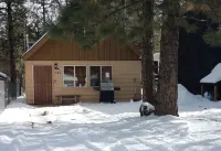 Twin Bear