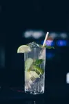 卡託維茨拉迪遜麗柏酒店 - 酒吧