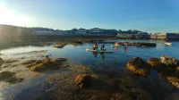 Long Vi Hotel - dao Phu Quy فنادق في Phu Quy