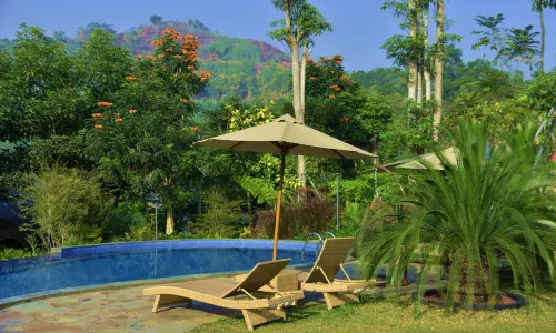 Sarga Earthing Resort