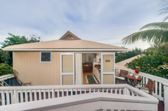 The Cooks Oasis Hotels in 