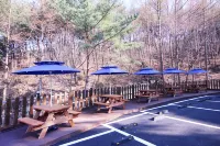 Ulsan Yeungnam Alps Rahel - โมเทล