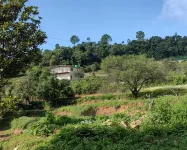 Hotel Ganpati Palace Hotels in Chamba