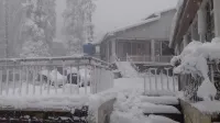 Blue Pine Retreat Hotels in Nathia Gali