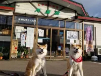 ふるさわおんせん 大館のホテル