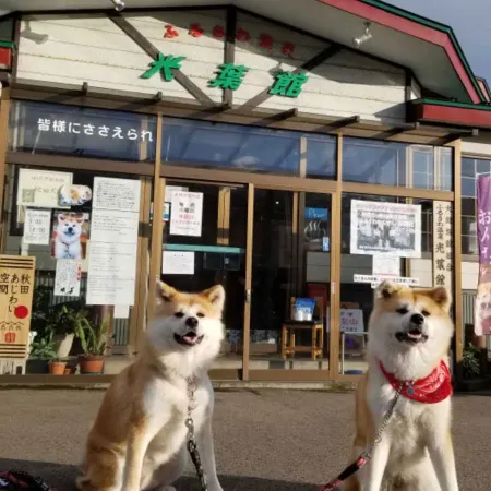 Furusawa Onsen Koyokan