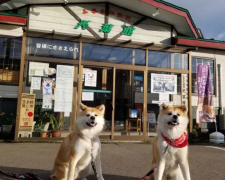 ふるさわおんせん 大館のホテル
