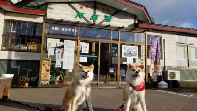 Furusawa Onsen Koyokan