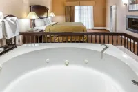 Quality Inn Near Hearst Castle فنادق في سان سيميون