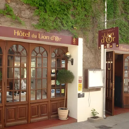 Hotel du Lion d'Or
