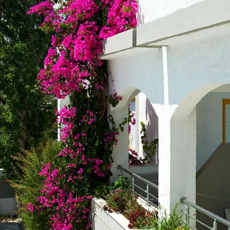 Apollon Hotel Apartments
