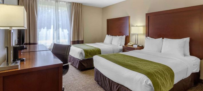 Comfort Inn St Petersburg North Hotels in St. Petersburg