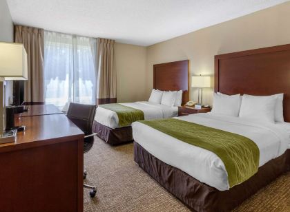 Comfort Inn St Petersburg North