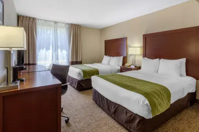 Comfort Inn St Petersburg North Hotels in Lealman