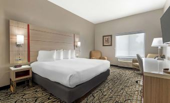 Best Western Plus Albert Lea I-90/I-35 Hotel