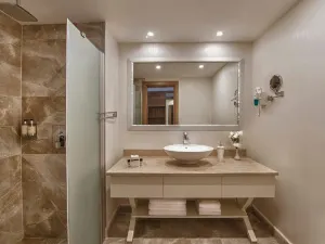 波坦尼克白金飯店