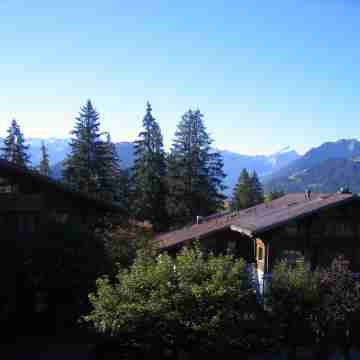 Arlette Nr. 30 Others