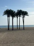 Two Bedroom Apartment on Front Line of the Beach