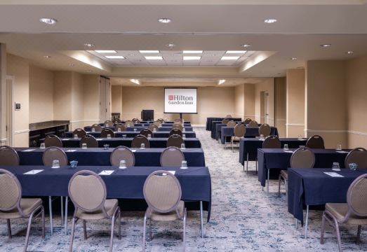 힐튼 가든 인 달라스 루이스빌