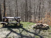 Cabin surrounded by Wayne National Forest and the Baileys Trail System