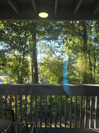 2/2 condo daphne Al.