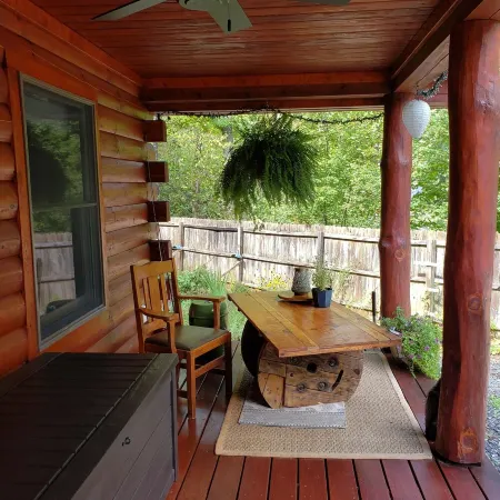 Moonlight Ridge - a wonderful little log cabin on 4 wooded acres Отели в г. Скотт Крик