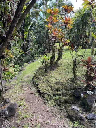 Restored Historic Mansion with Modern Amenities Steps to the Beach! Отели рядом с Аэропорт Хило