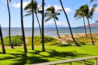 Oceanfront, Split A/C, incredible sunsets, king bed, remodeled October 2023