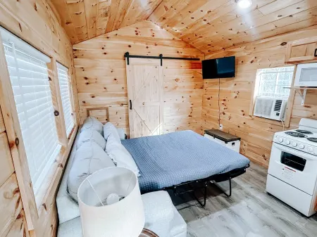 Cozy tiny cabin in Petros -Windrock