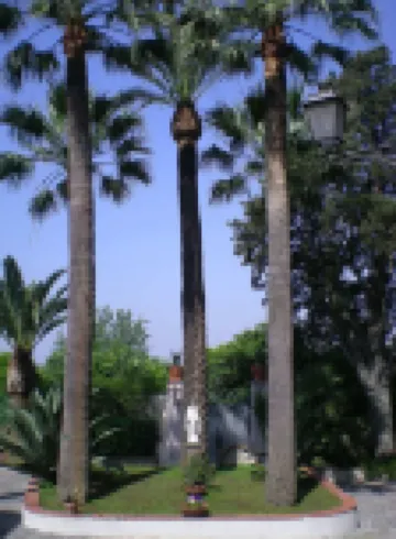 Villa Raffaela - Stately home, independent, quiet, sunny, ideal for a relaxing holiday