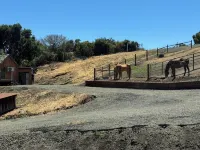 Ranch style living with incredible views!