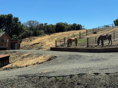 Ranch style living with incredible views!