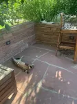 Walk to Music, Cafe, Bars, Food & Hospital in Central Denver. Turo + 420 ok!
