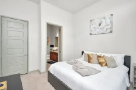 Downtown Houston Luxury Mid-Rise Apartment