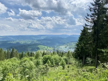 Exclusive 2-room loft apartment in Titisee-Neustadt Отели в г. Титизее-Нойштадт