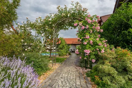 Apartment with 38sqm - Quiet location on the outskirts of the city