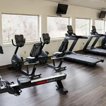 The Cove: Nestled Amongst Huge Boulders and Trees