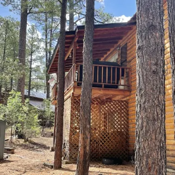 Your going to fall in love with this cabin.outstanding for family,multi families