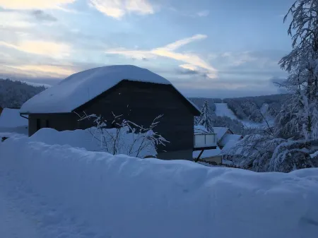 CHALET IN THE HEART OF AUBRAC