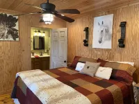 CabinOnTheCreek-Lake Limestone!  rustic charm, Kayaks! Canoe! fire-pit! pets!