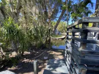 West Creek in Old Homosassa across from the Freezer
