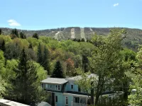 Studio 3 BEDS-SLP 3. Downtown Windham. Next to the Ski Resort. Close to Hunter Hotels in Windham