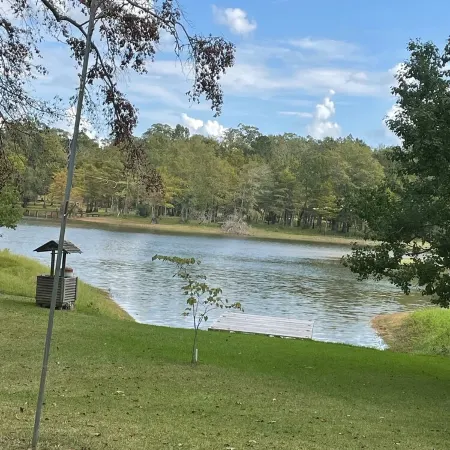 Cabin On The Lake