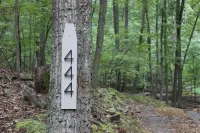 The Cabin on the Run