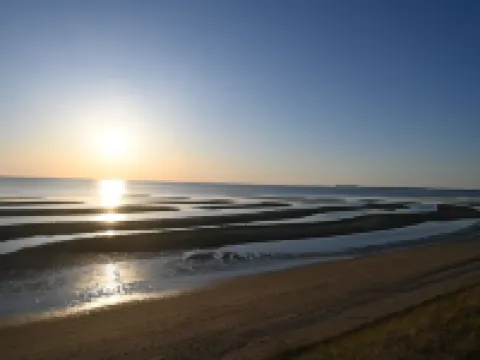 Cape Cottage with 5 beds, large deck, and less than 10 minute walk to the beach! Hotels in Eastham