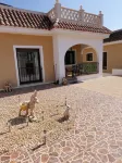 VILLA SUNRISE Detached Villa with Private Pool and Wi-Fi Hotels in Quesada