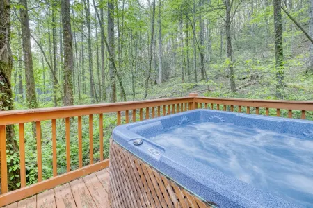 Cozy Cohutta Cabin - Creek Front Mountain Cabin -  Located in Cohutta Wilderness