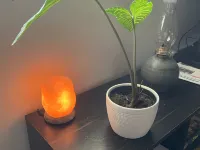 Beautiful Cozy Immaculate cottage