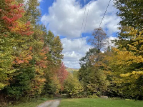 Remarkable Views at Cabin -SUV-Truck-Suggested No Pets